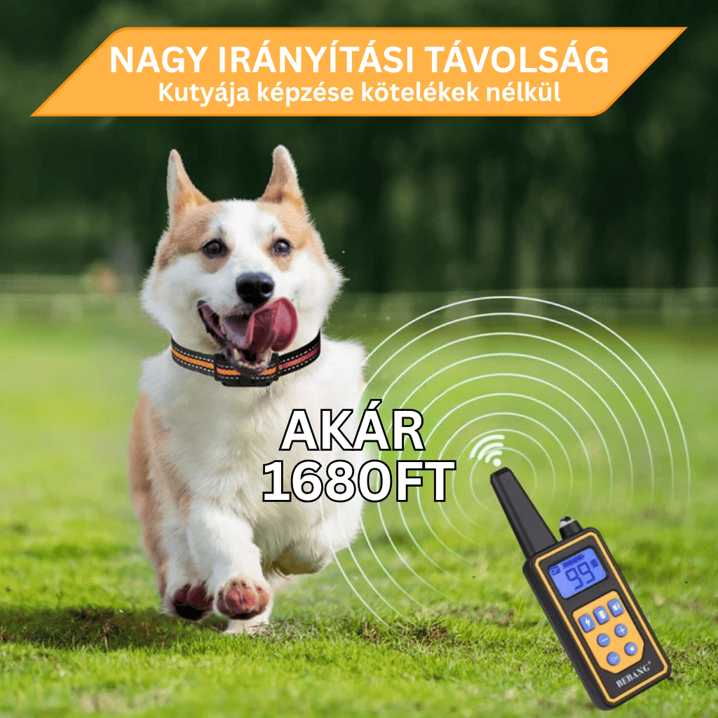 K9ELITE™ - Professzionális elektromos kutyakiképző nyakörv - Image 7