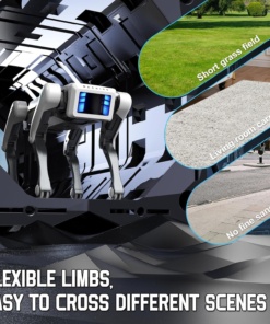 Alternative view of Mech Guardian Robot őrkutya